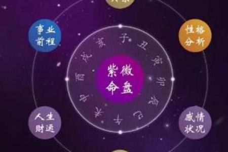 紫薇斗数旺衰