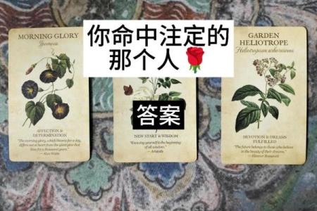 塔罗测试-他是对的人吗？