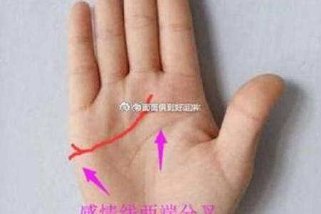 男士手相算命图解法 男人感情线的末端分叉异性缘好