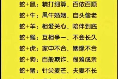 注定成为敌人的属相配对