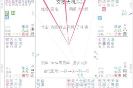 紫薇斗数星曜吉凶