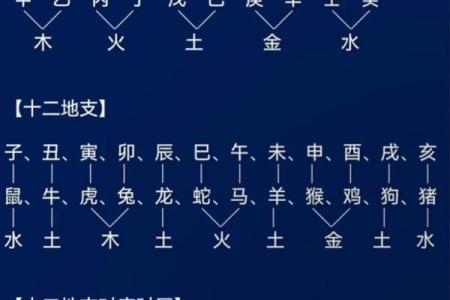 八字干支的状态关系 八字干支是否相合