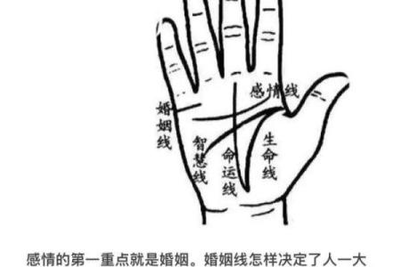 女人手相算命图解