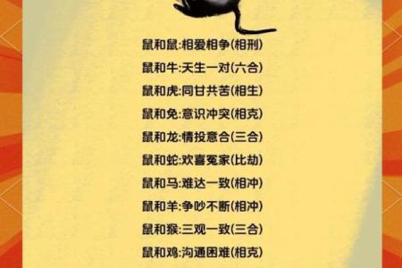 1996年属什么生肖配对