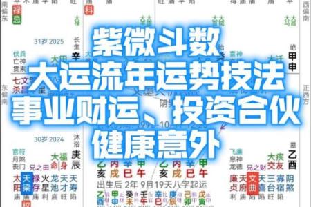 紫薇斗数流年对冲宫