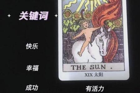 塔罗牌测试六月桃花运