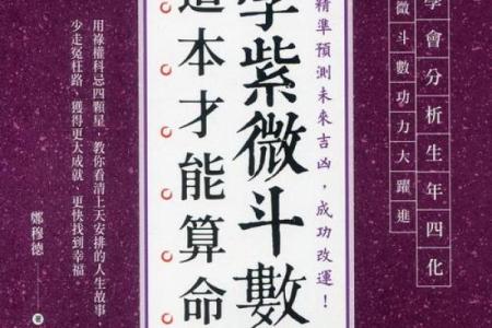 高人汇紫薇斗数