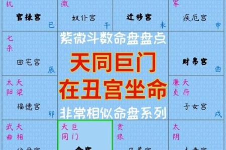 紫微斗数之子女宫与诸星，破军星在子女宫是什么意思？