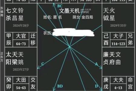 紫薇斗数疾厄戊申