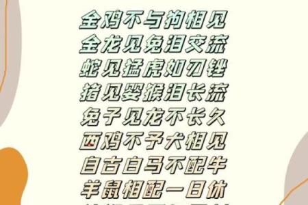 什么样的特质和条件使得婚姻配对互相般配