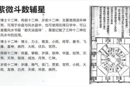 红鸾紫薇斗数