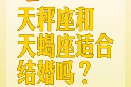 天秤座男和天蝎座女配对好吗