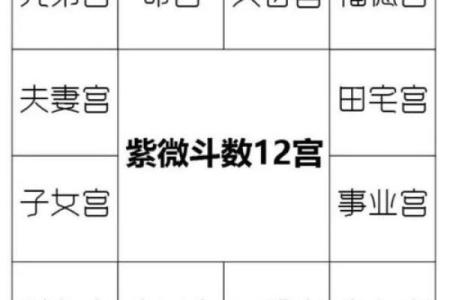 紫薇斗数看财富层次
