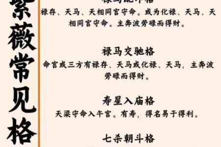 紫薇斗数配偶财富
