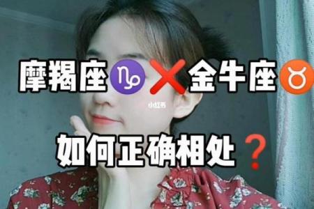 金牛摩羯配对指数 金牛摩羯能否匹配