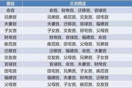紫薇斗数宫主
