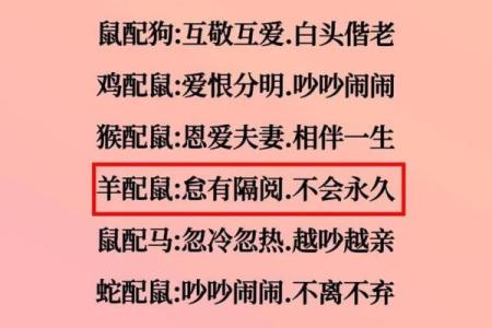 属鼠的女人和什么属相最配对 属鼠的女人和什么属相最配婚姻