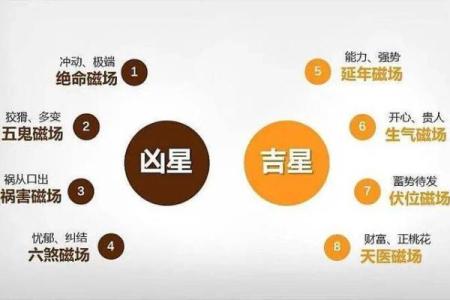 趋利避害！鸡年吉星凶星的所在方位