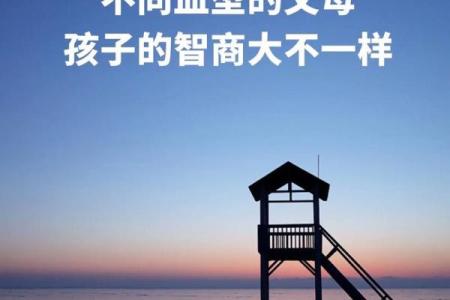 哪种血型智商比较高呢