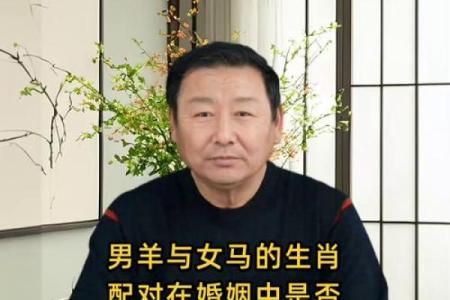 属相羊配对姻缘 属相羊婚配属相最好？