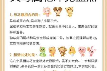 马跟什么生肖配对最好 生肖马最佳配对