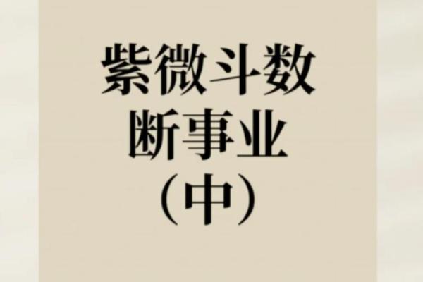 360紫薇斗数事业