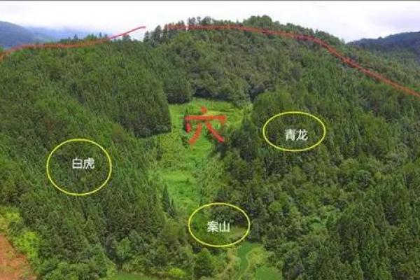 选择墓地风水的原则是什么