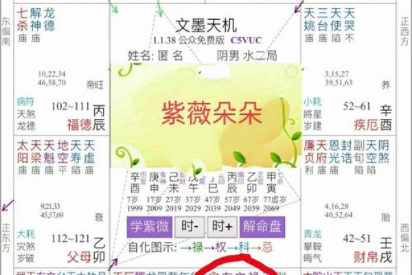 女命紫薇斗数夫妻宫贪狼