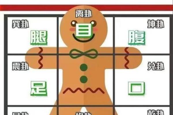 风水与微波的关系是什么？