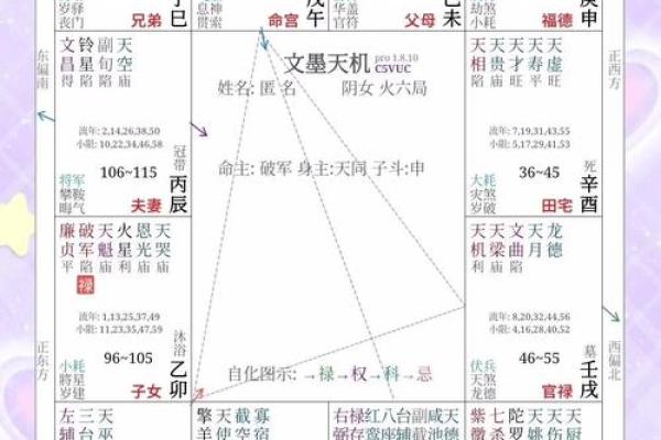 怎样解紫薇斗数