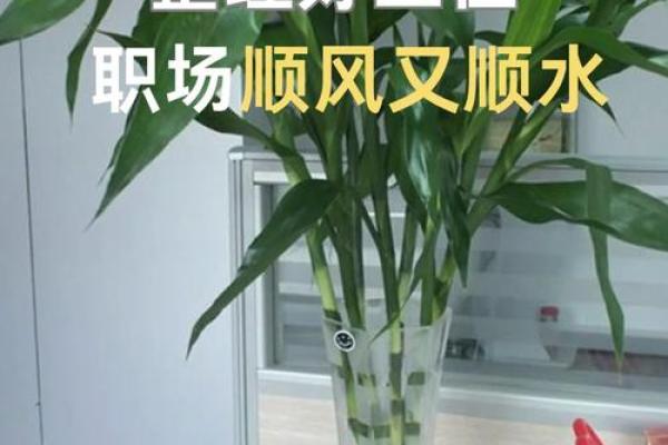 什么样的办公风水影响工作效率