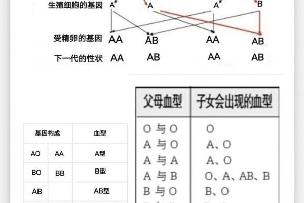 血型隐藏的病态绝症
