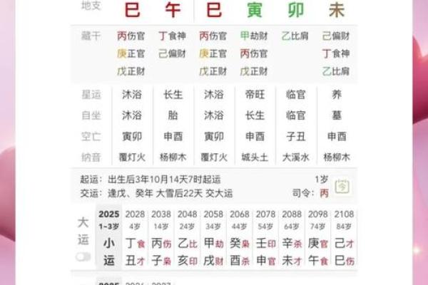 《八字算命藏决》：穿越时空的命理密码，张殿松大师亲授改运秘籍