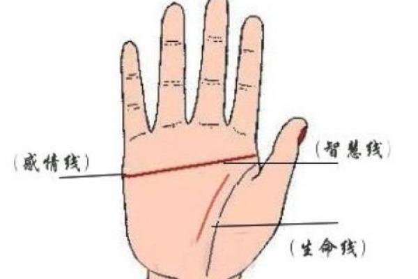 相术算命师：罗圈腿的男人命运如何？
