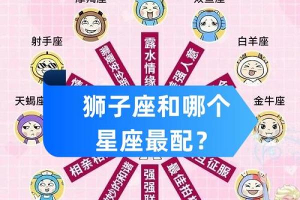 狮子座配对射手座的男生好吗