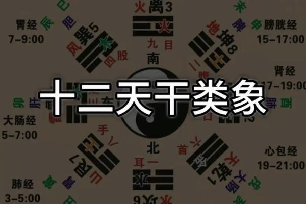 八字十天干的特点要义（下）