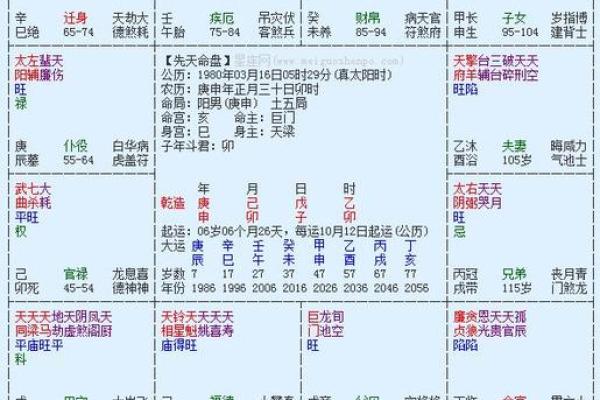 紫薇斗数appios版