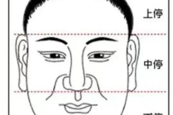 面相风水鼻头大的男人好不好是长寿命吗