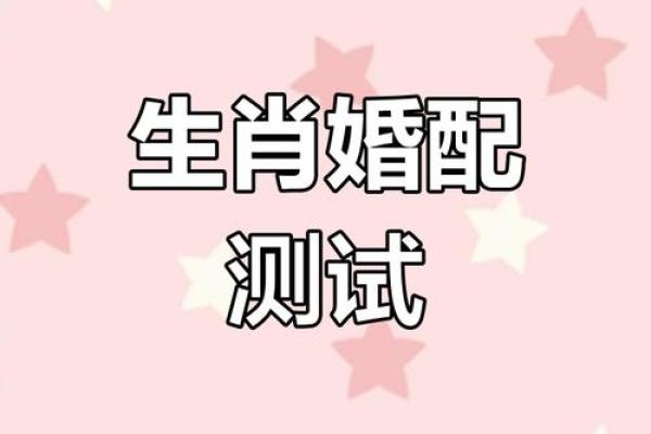 猪的生肖配对