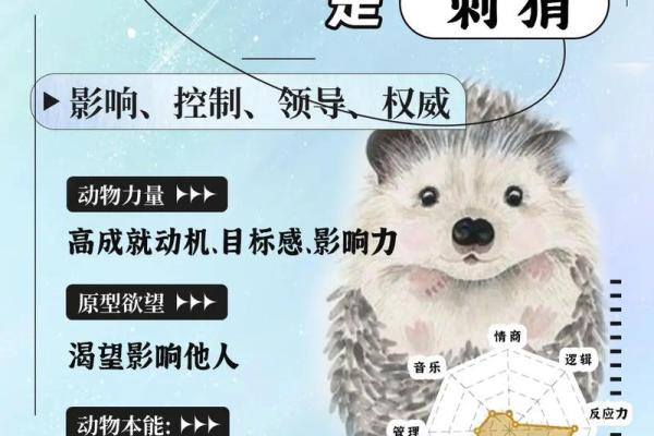 根据名字测试你是什么动物  本命动物测试
