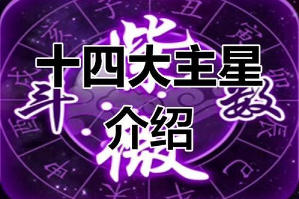高兴紫薇斗数