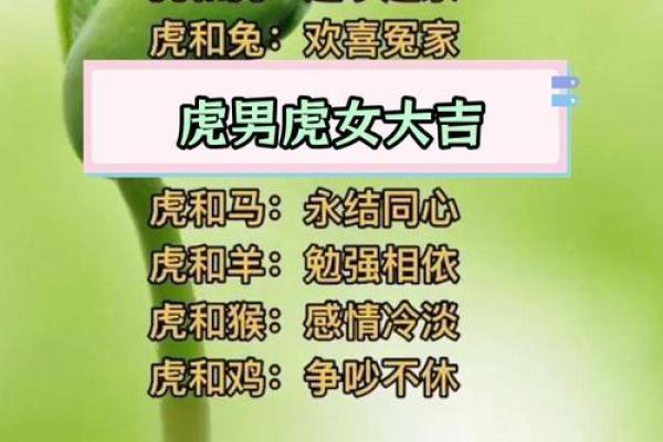 属虎和属牛的配对可行吗