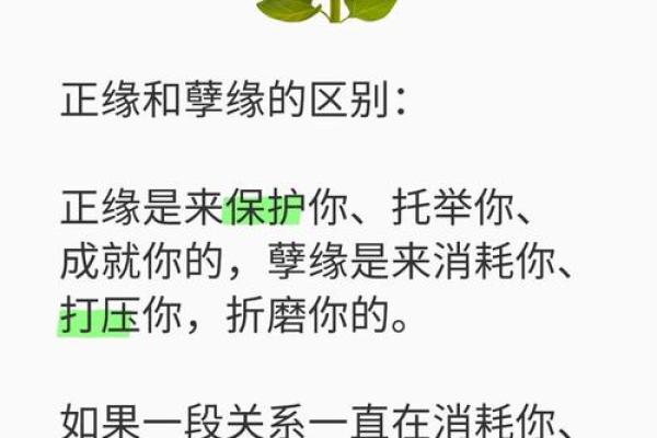 缘分测试3366 缘分测试免费？