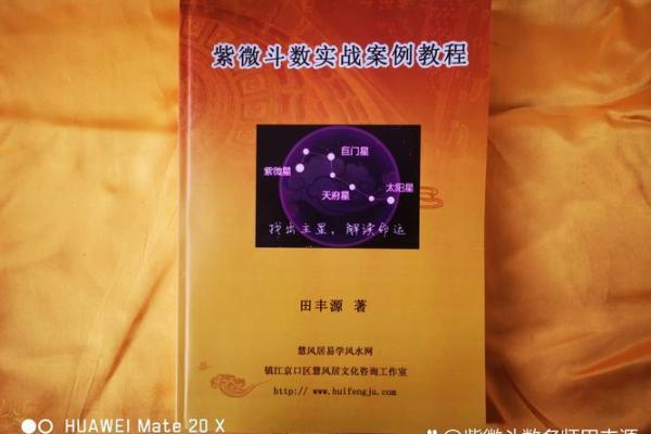 紫薇斗数实验