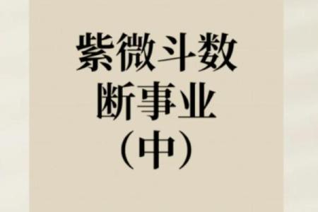 360紫薇斗数事业