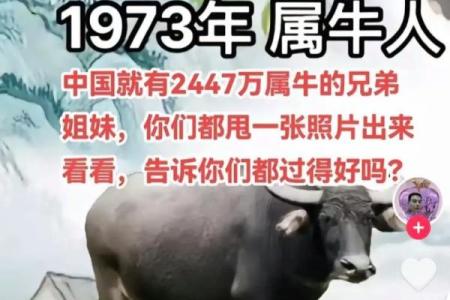 1973年属牛蕞佳配对