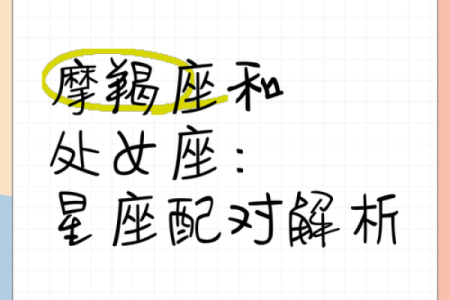 处女座和摩羯座配对指数