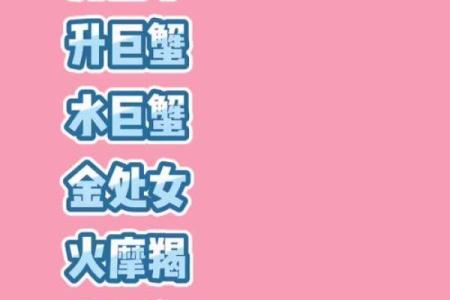 狮子座和摩羯座的配对指数