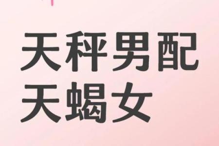 天秤座配对天蝎座的婚姻如何