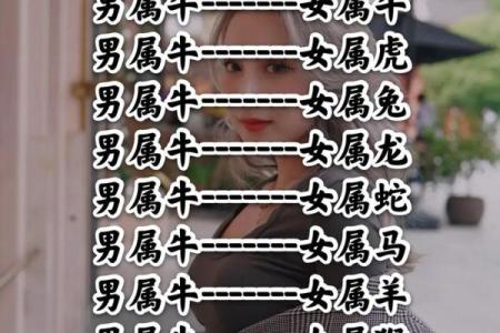 免费算命十二生肖运势属牛的